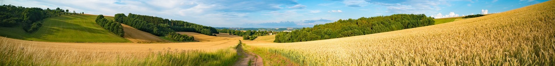 Kansas Field Picture